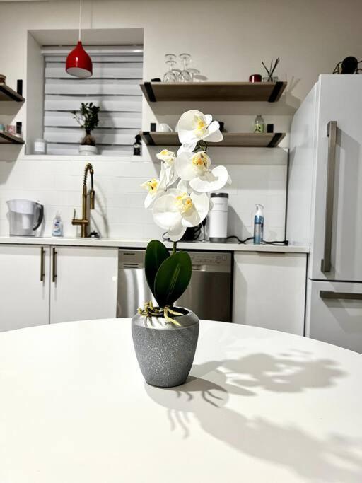 Luxury And Cozy 1 Bed Condo In The Heart Of Providence Eksteriør bilde